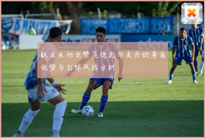 狄龙米切尔赞范德彪与麦丹的身高优势与打球风格分析