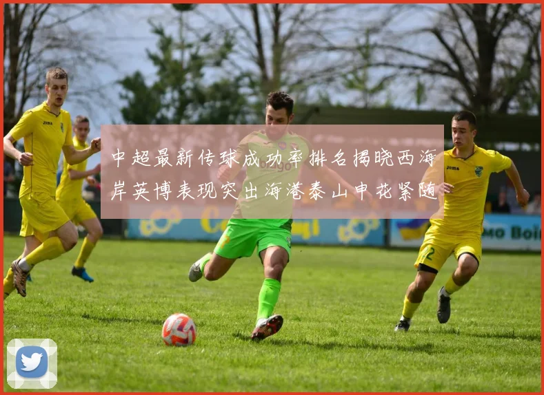 中超最新传球成功率排名揭晓西海岸英博表现突出海港泰山申花紧随其后