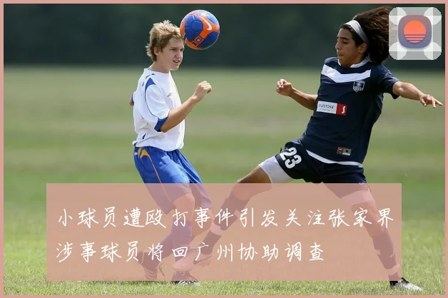 小球员遭殴打事件引发关注张家界涉事球员将回广州协助调查