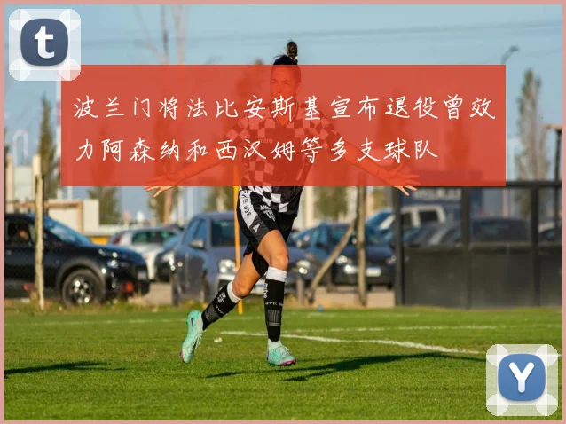 波兰门将法比安斯基宣布退役曾效力阿森纳和西汉姆等多支球队